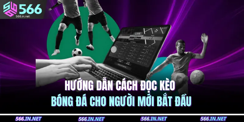 Hướng dẫn cách đọc kèo bóng đá cho người mới bắt đầu