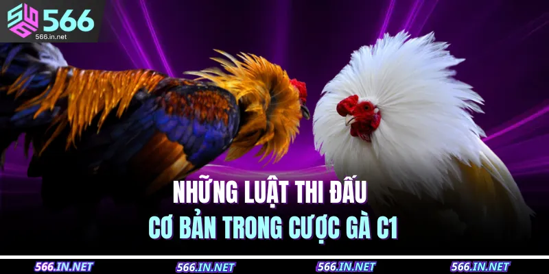 Những luật thi đấu cơ bản trong cược gà C1