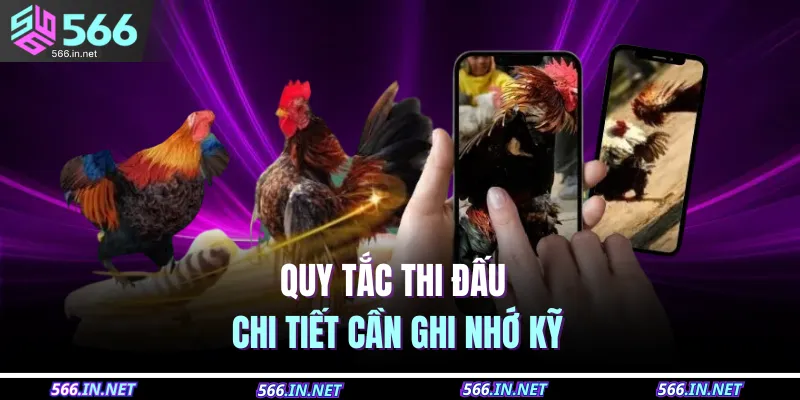 Quy tắc thi đấu chi tiết cần ghi nhớ kỹ